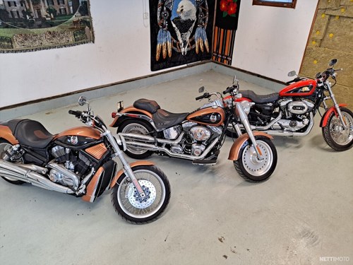 2007 Harley-Davidson 50th Anniversary Sportster VENDUTO