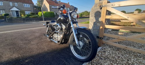1990 Harley Davidson Sportster For Sale