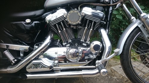 2001 Stunning Harley Davidson Sportster 1200 Custom Kaufen Bei