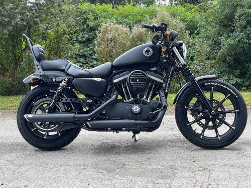 2019 Harley Davidson Iron 883 - Fully Loaded For Sale