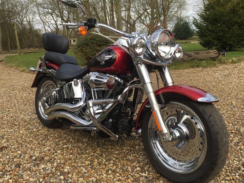 Harley fat boy or Dyna wanted For Sale