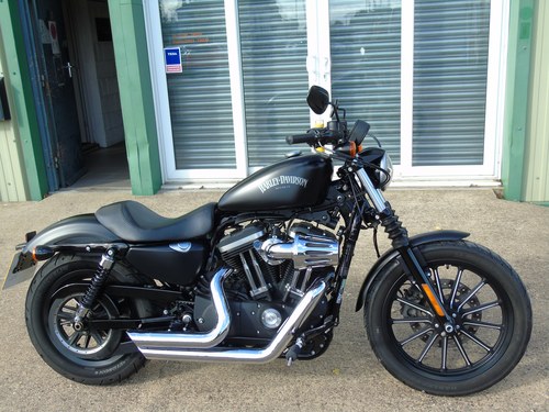 2015 Harley-Davidson XL 883 N Iron, Stage 1, Keyless Start, ABS In vendita