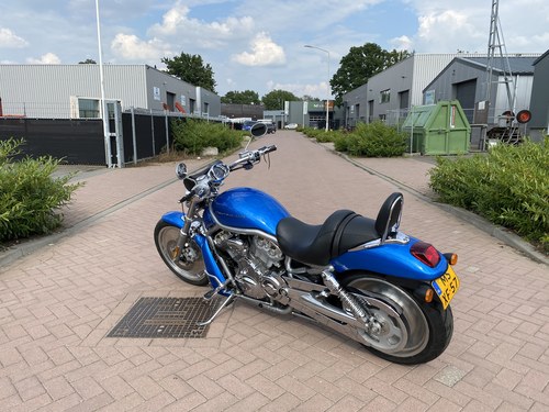 2004 Harley Davidson VROD VRSCA In vendita