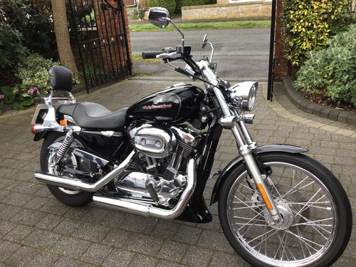 2006 Sportster 1200 XLC Custom Sport - Low Mileage Carb Model Kaufen Bei