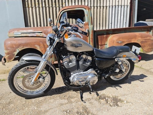 2008 Harley - XL 833L Sportster For Sale