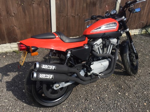 2008 Harley davinson xr1200 very low miles, 1 owner (me) For Sale