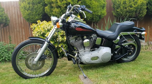 1999 Harley Davidson Softail Standard FXST For Sale