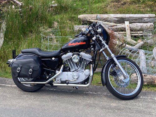 1999 Harley Sportster XL 53c In vendita