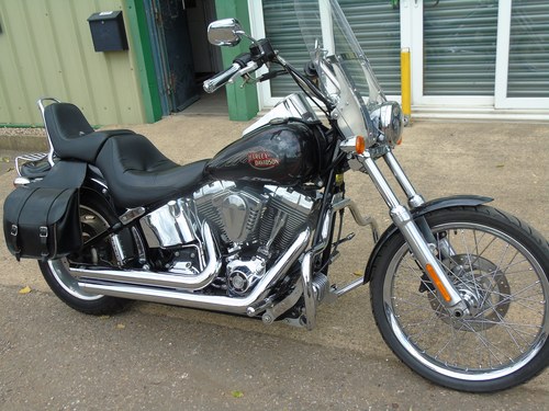 2008 Harley-Davidson FXSTC Softail Custom 1584cc, Immaculate Cond Kaufen Bei