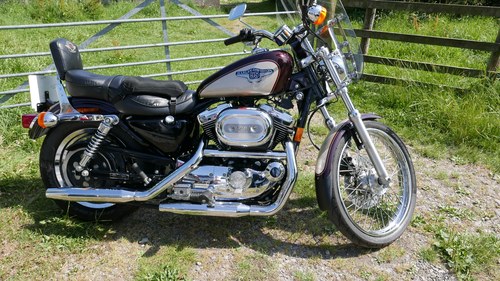 Harley Davidson Custom Sportster 1998 In vendita
