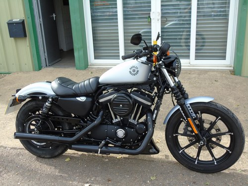 Harley-Davidson XL 883 N Sportster Iron 2020, Only 1 Owner For Sale
