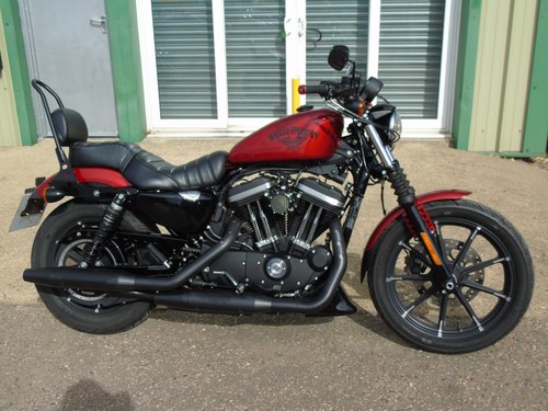 2019 Harley Davidson Sportster 883 - 6