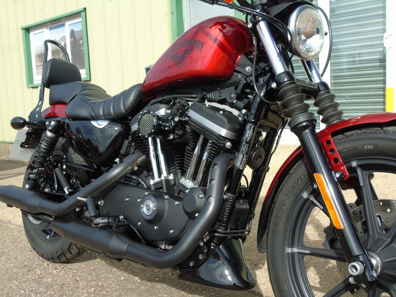 2019 Harley Davidson Sportster 883 - 7