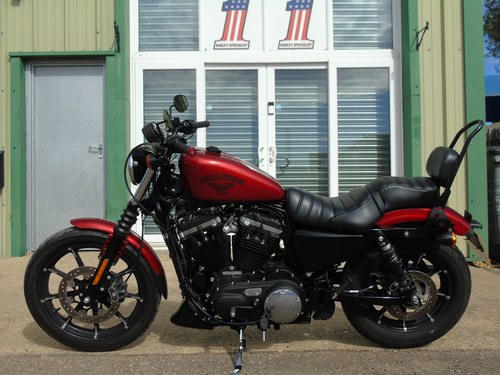 2019 Harley Davidson Sportster 883 - 8
