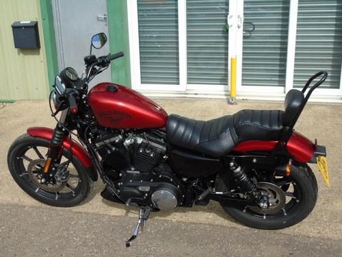 2019 Harley Davidson Sportster 883 - 9