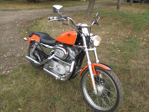 2001 Harley Davidson 883 Sportster For Sale