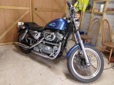 Picture of 1988 Harley Davidson 883 SPORTSTER - For Sale