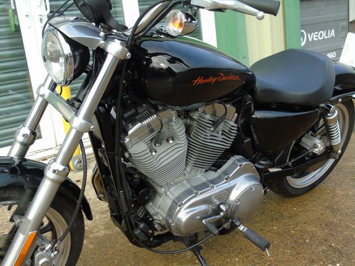 2013 Harley Davidson Sportster 883 - 8