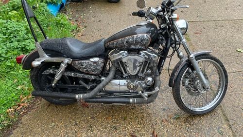 Picture of 2004 Harley Davidson Sportster 1200cc custom paint work - For Sale