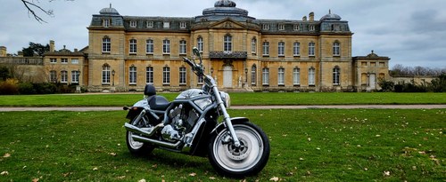 2002 Harley Davidson V-Rod VRSCA 1130, Full Chrome ONE OFF Kaufen Bei