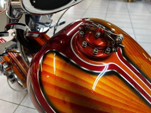 2014 Harley Davidson - 5
