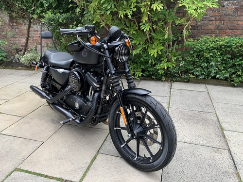 2019 Harley Davidson Sportster 883