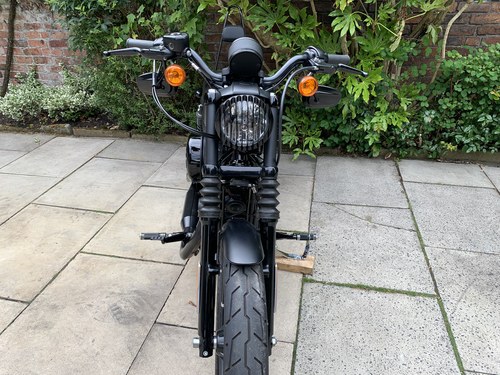 2019 Harley Davidson Sportster 883 - 6