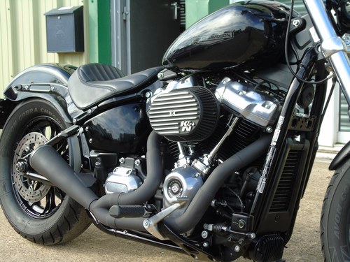 2022 Harley Davidson Softail Standard - 6