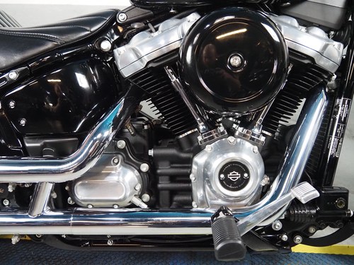 2022 Harley Davidson Softail Standard - 9
