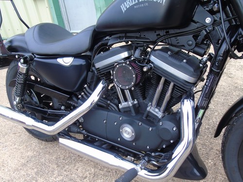 2015 Harley Davidson Sportster 883 - 5