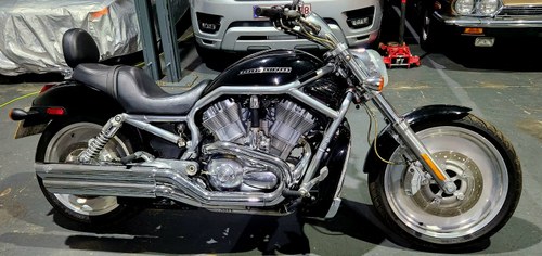 2006 Harley Davidson V-Rod VRSCA 1130 In vendita
