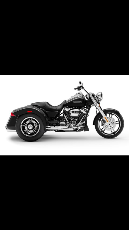 2019 Harley Davidson Freewheeler - 1