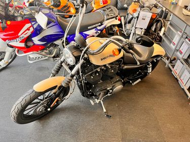 Picture of 2014 Harley Davidson Sportster 883 - For Sale
