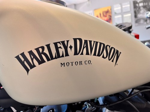 2014 Harley Davidson Sportster 883 - 3