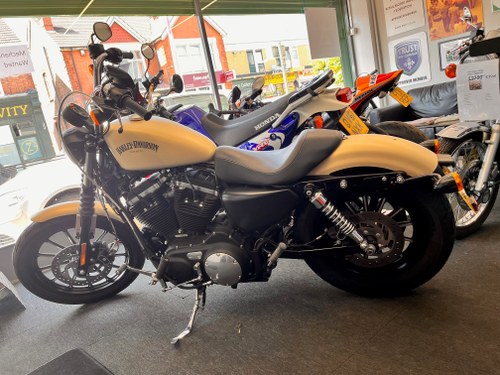 2014 Harley Davidson Sportster 883 - 8