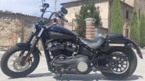 Picture of 2019 Harley Davidson Street Bob - For Sale