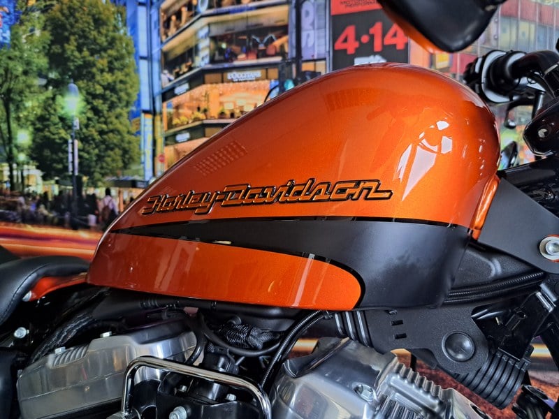 2019 Harley Davidson Sportster 1200 - 7