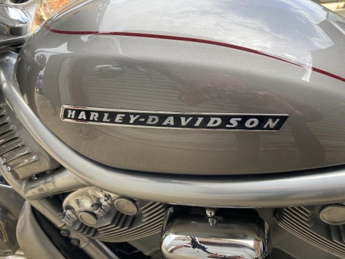 2007 Harley Davidson Vrod - 5