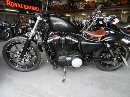 Harley Davidson Sportster 833 Iron £2500 extras with FSH In vendita