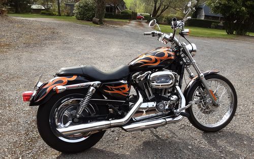 2005 Harley Davidson XL 1200 (picture 1 of 16)