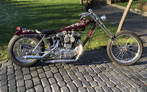 Harley Davidson Arlen Ness Digger Show Bike (picture 1 of 28)