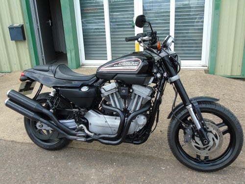 2010 Harley-Davidson XR1200 Sportster Only 12,000 Miles For Sale