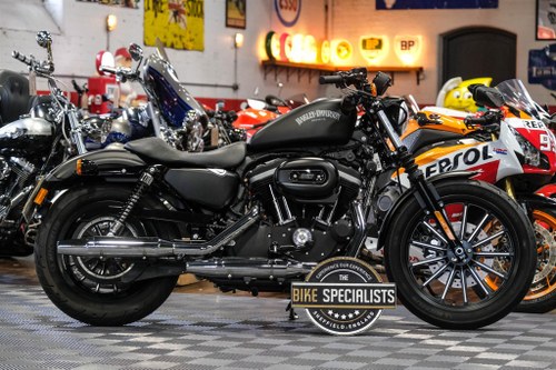 2013 Harley-Davidson Sportster Iron 883 One Owner 3,039 Mile In vendita