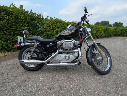 2001 Harley-Davidson 883 Sportster Custom 883cc For Sale by Auction