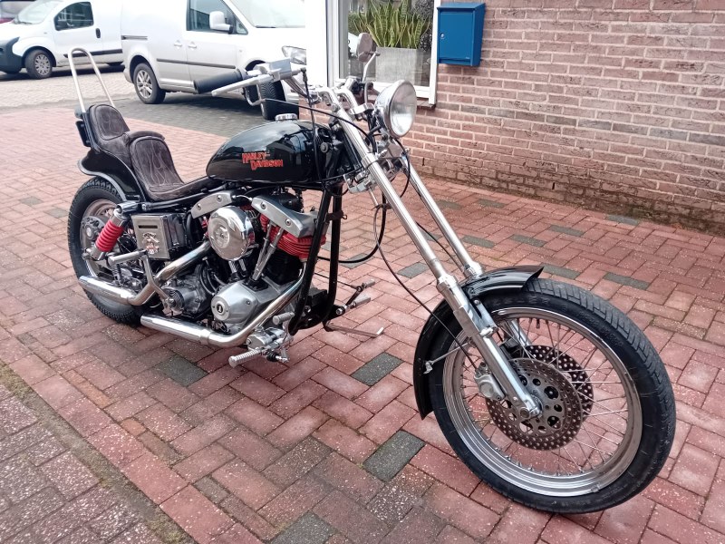 HARLEY DAVIDSON FXE 1978 CRAZY FRANK