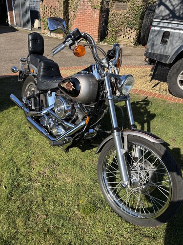 1997 Harley Davidson Softail Custom