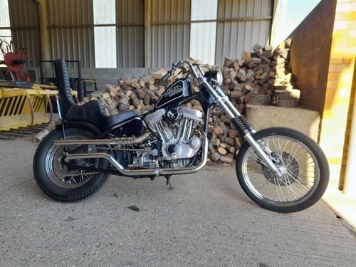 1999 Harley Davidson Sportster 883