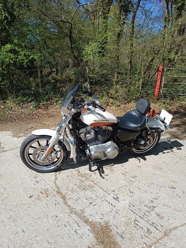 2010 Harley Davidson Sportster 883
