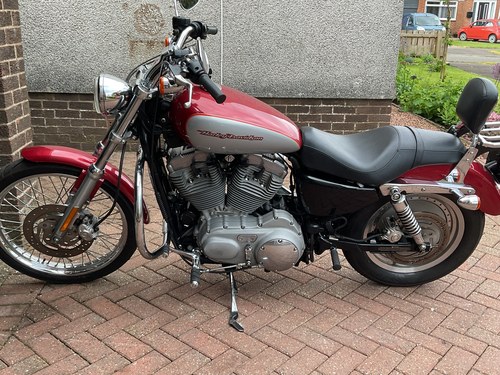 2004 Harley Davidson Sportster 883