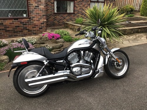 2005 Harley Davidson Vrod